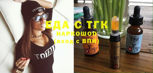 хмурый Аркадак