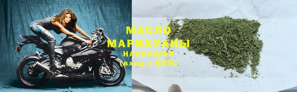 хмурый Аркадак