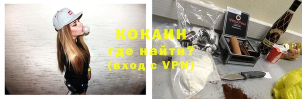 хмурый Аркадак