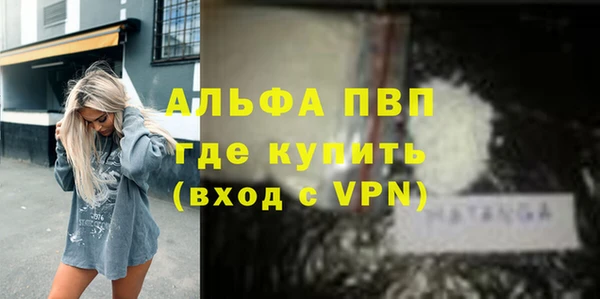 хмурый Аркадак