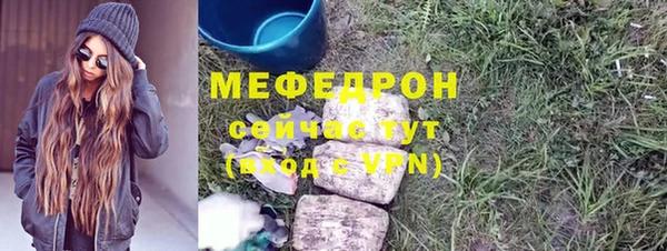 хмурый Аркадак