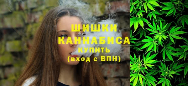 хмурый Аркадак
