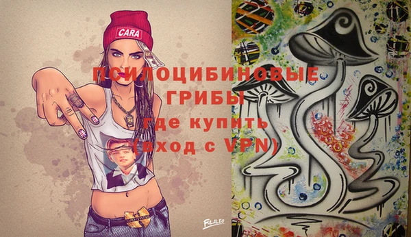 Альфа ПВП Армянск