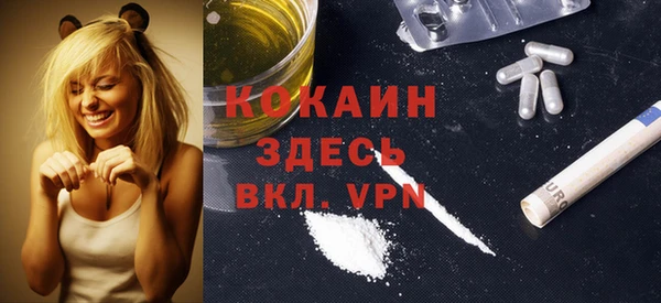 твердый Арсеньев