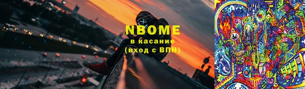 хмурый Аркадак