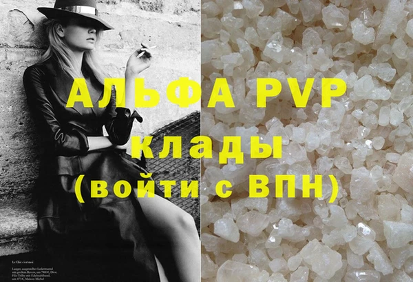 твердый Арсеньев