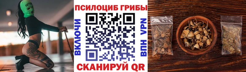купить наркотики цена  Советский  Псилоцибиновые грибы Psilocybe 